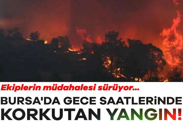Bursa’da Gece Korkutan Yangın, Ekipler Mücadele Ediyor!