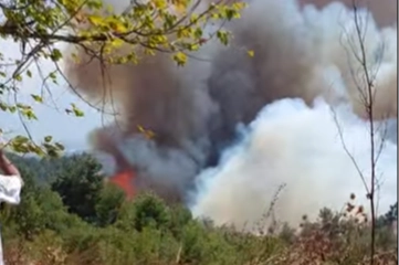 Bursa’da Gündoğdu Tepesi’nde Orman Yangını!