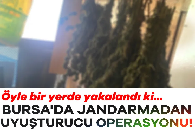 Bursa’da Güvercin Kümesinde Uyuşturucu Operasyonu!