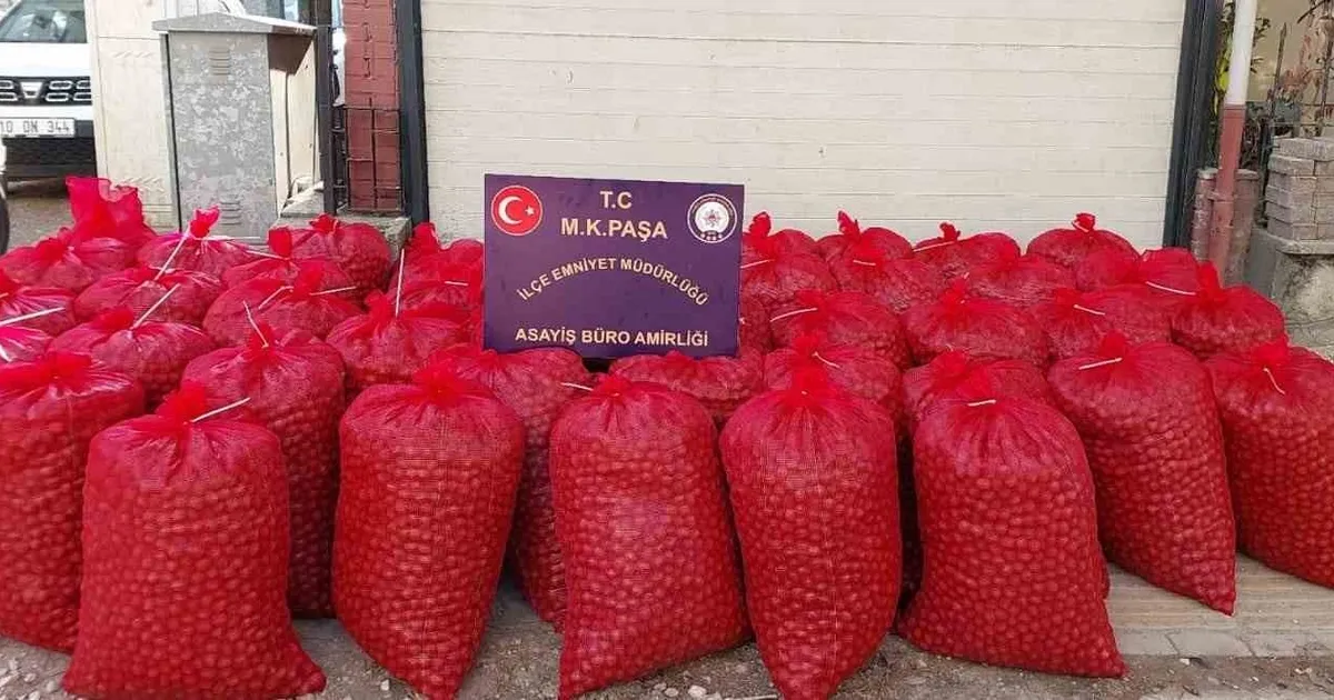 Bursa’da Hırsızlık Çetesi Yakalandı! 1 Ton Ceviz Çalındı