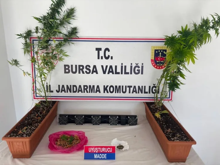 Bursa’da Jandarma’dan Uyuşturucu Operasyonu!