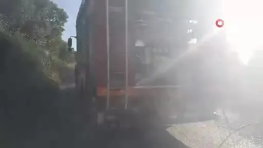 Bursa'da karga ortalığı karıştırdı!