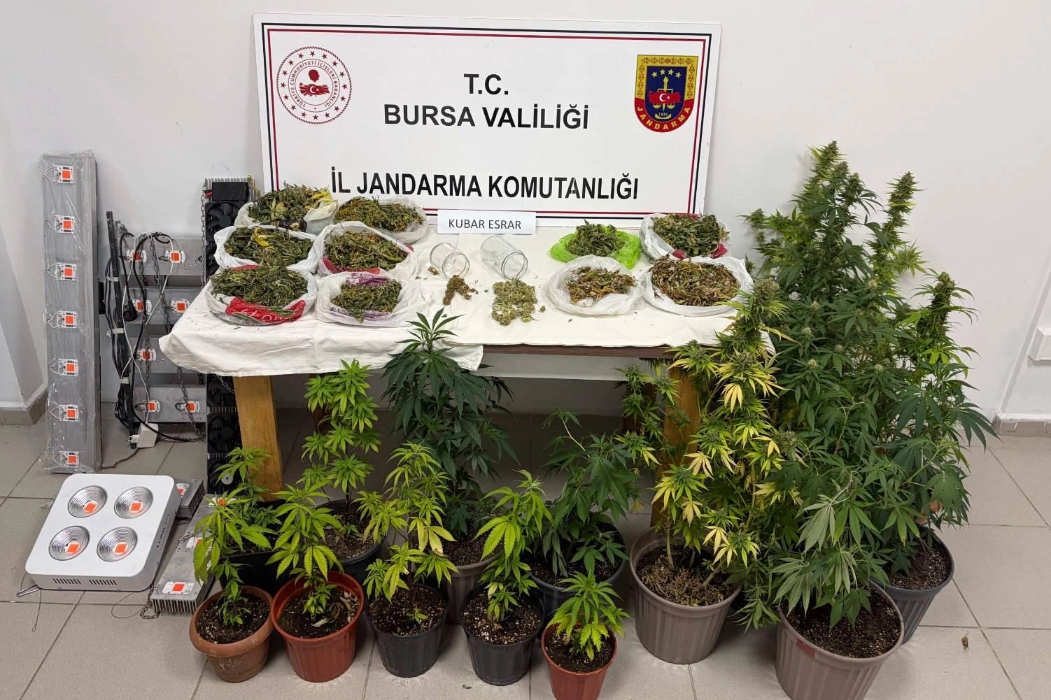 Bursa’da Kenevir ve Uyuşturucu Operasyonu!