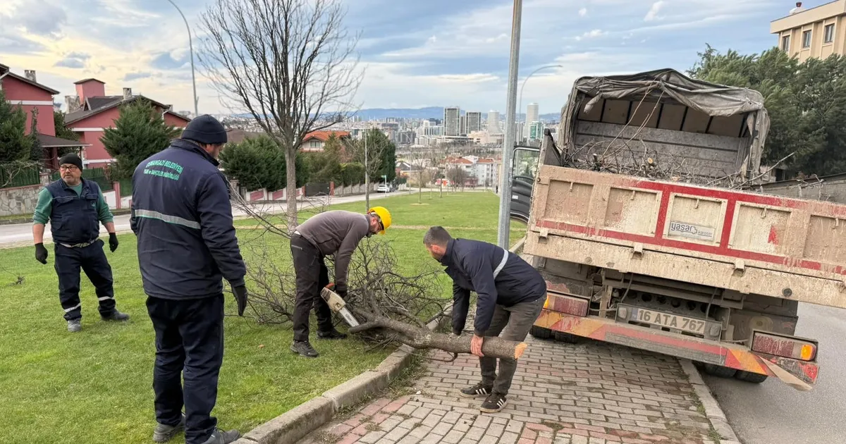 Bursa’da Lodosun Devrildiği Ağaçlara Müdahale!