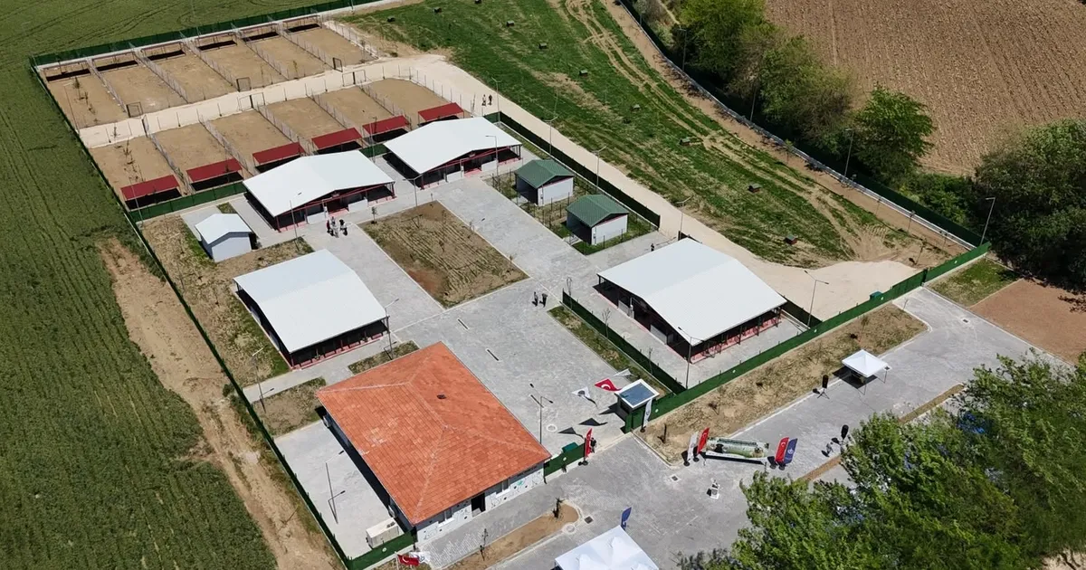 Bursa’da Modern Hayvan Bakımevi Açıldı!
