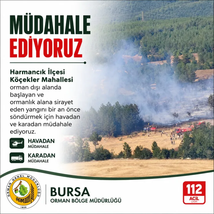Bursa’da Orman Yangınına Hızla Müdahale Ediliyor