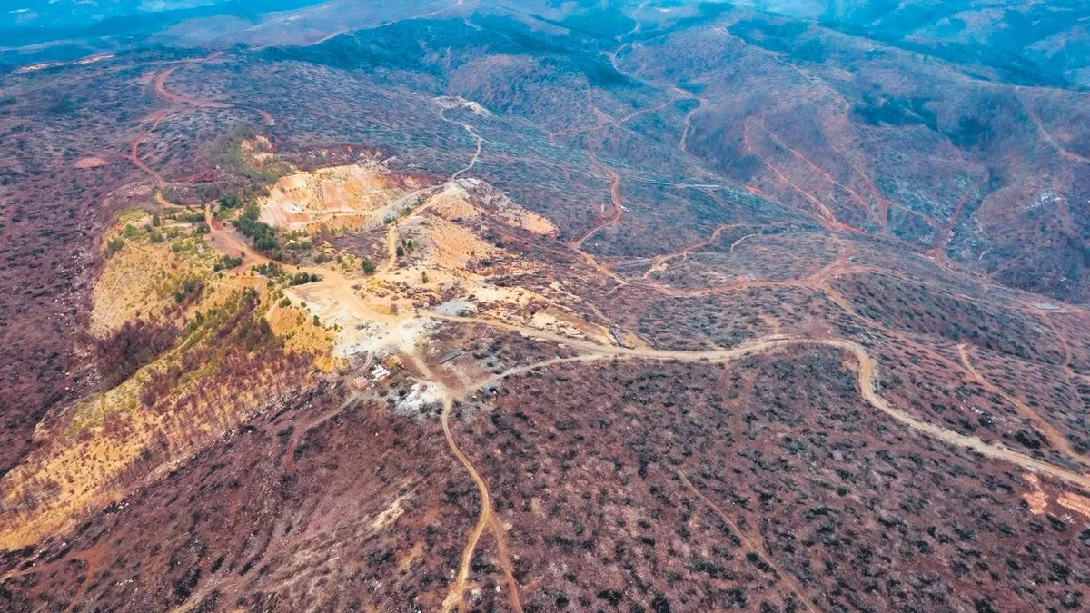 Bursa’da Orman Yangınına Hızla Yeniden Hayat!