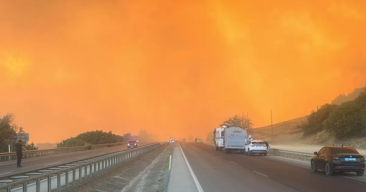 Bursa’da Orman Yangınına Hızlı Müdahale!