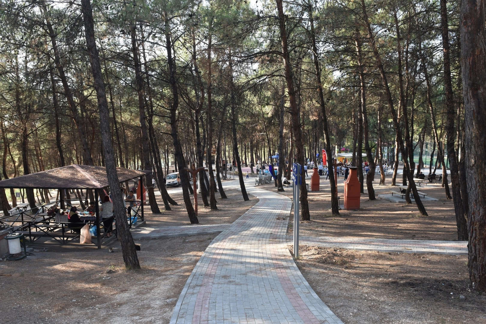 Bursa’da Ormanlara Giriş Yasağı 15 Ekim’e Kadar!