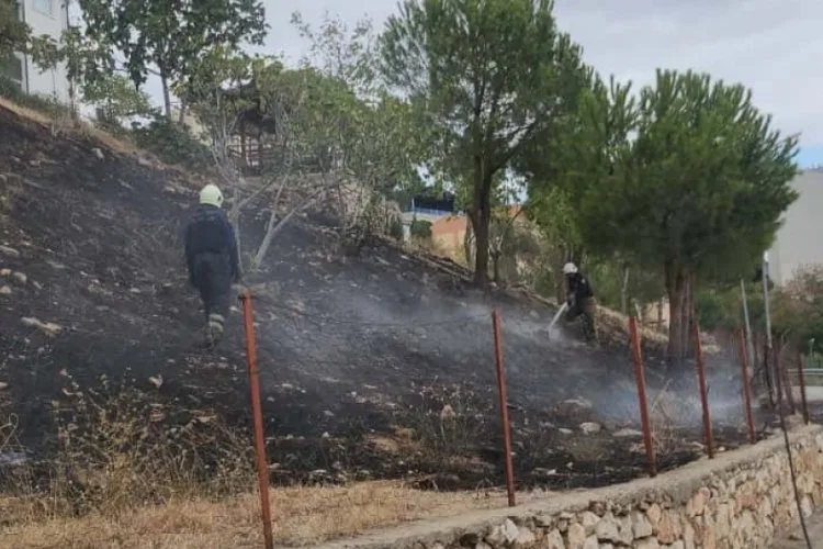 Bursa’da Otluk Yangını Korkuttu, Ekipler Müdahale Etti