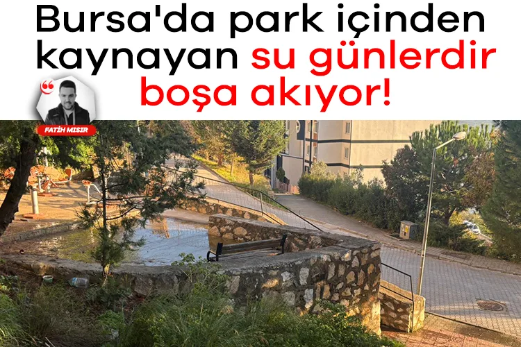 Bursa’da Parktan Kaynayan Suya Tepkiler Büyüyor!