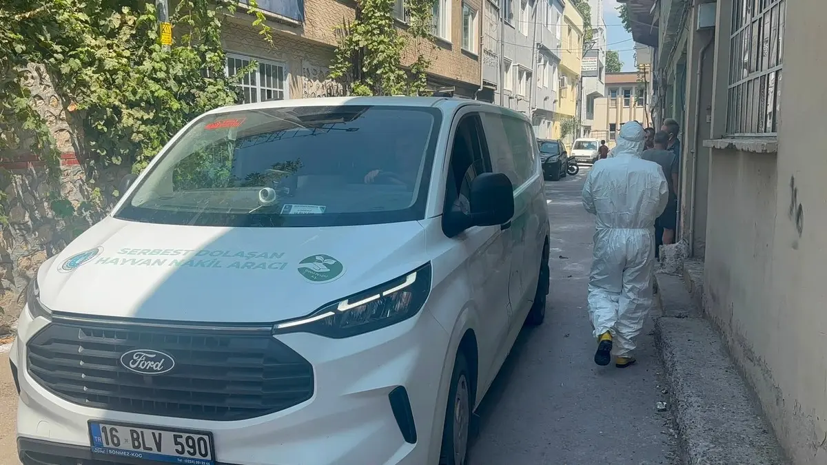 Bursa da pire alarmı! Hepsi apartmanın içinden çıktı: Kaçacak yer aradılar 3