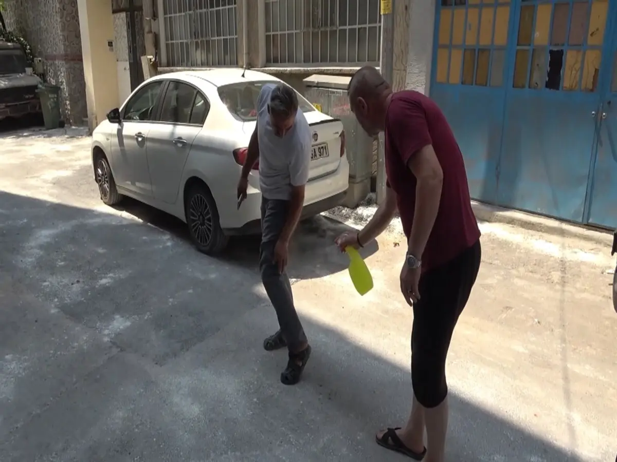 Bursa da pire alarmı! Hepsi apartmanın içinden çıktı: Kaçacak yer aradılar 4