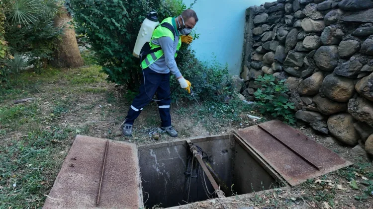 Bursa’da Sinek Mücadelesi Kesintisiz Devam Ediyor