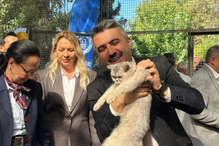 Bursa’da Sokak Hayvanları İçin Yeni Merkez Açıldı!