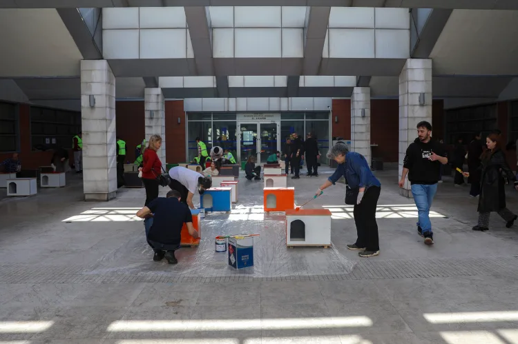 Bursa’da Sokak Hayvanlarına Sıcak Yuvalar