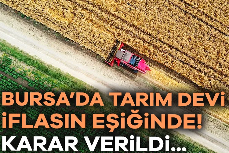 Bursa’da Tarım Devi İflas Eşiğinde! Mahkeme Kararı!