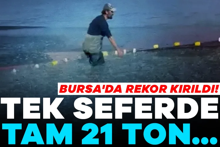 Bursa’da Tek Seferde 21 Ton Balık Avlandı!