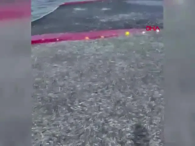Bursa'da rekor kırıldı! Tek seferde tam 21 ton...