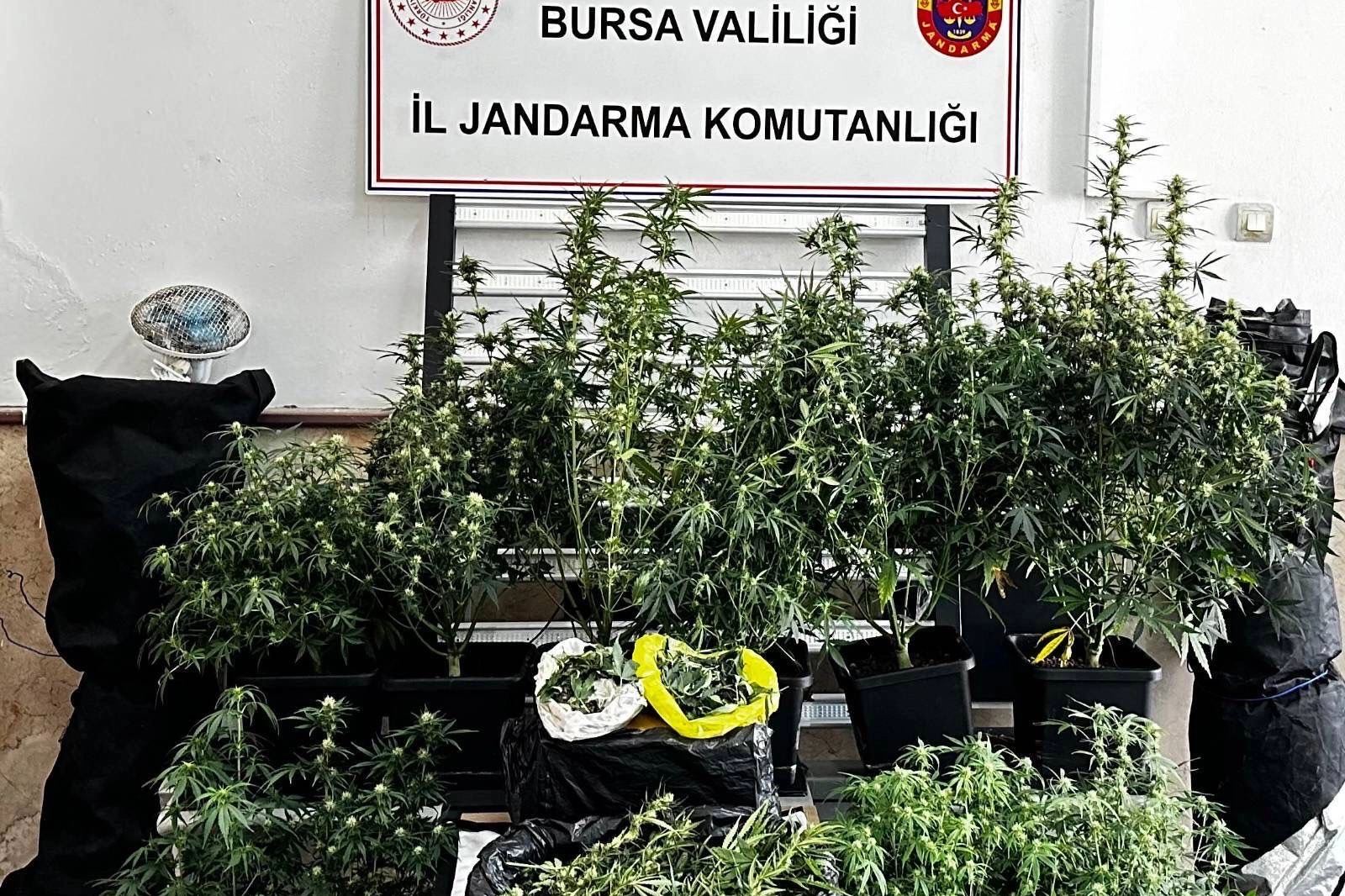 Bursa’da Uyuşturucu Operasyonu: 1 Tutuklama!