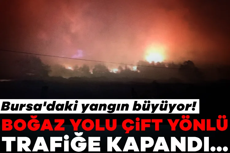Bursa’da Yangın Büyüyor, Boğaz Yolu Kapandı!