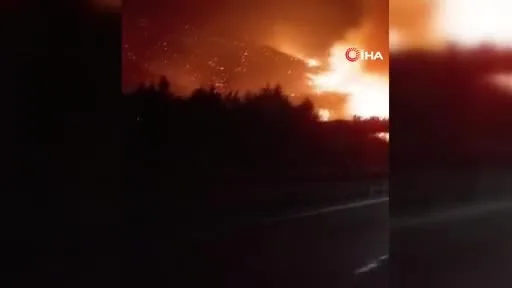Bursa'nın yanı başında alevler dinmiyor! Bir köy daha...