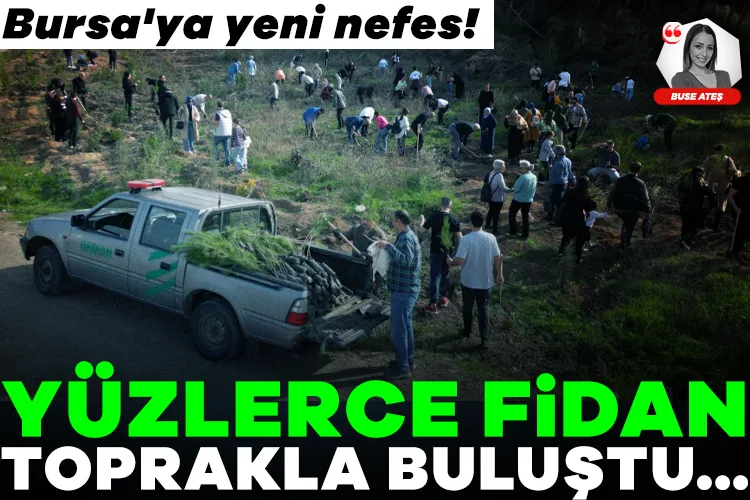 Bursa’da Yüzlerce Fidan Geleceğe Umut Olacak