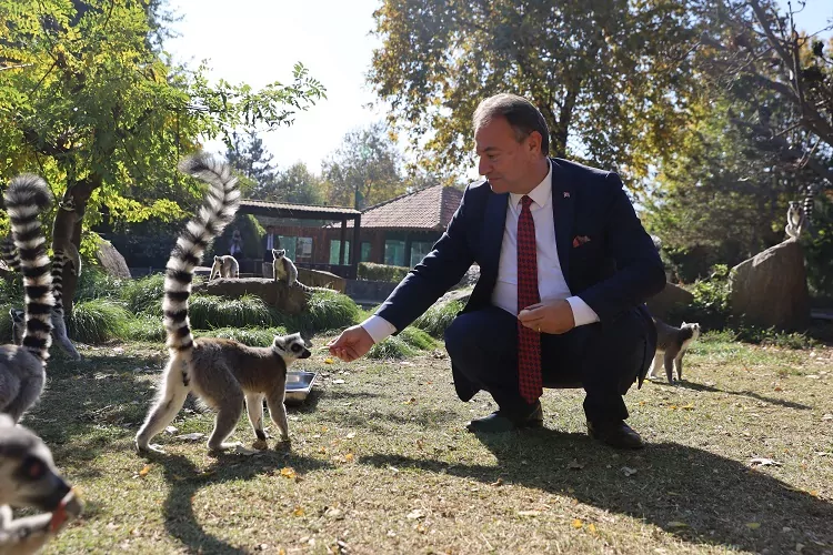 Bursa Hayvanat Bahçesi