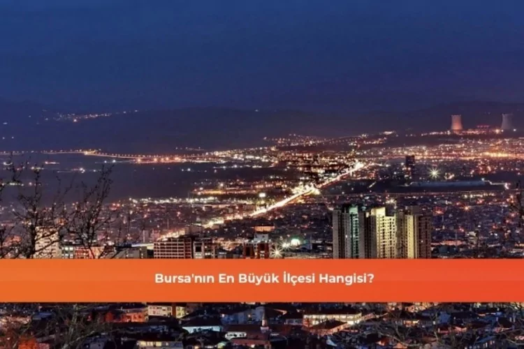Bursa’nın En Büyük İlçesi: Nilüfer’in Sırları