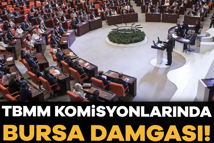 Bursa’nın Milletvekilleri TBMM Komisyonlarında!
