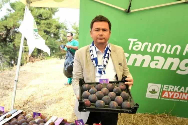 Bursa’nın Siyah İncirleri Festivali Coşkuyla Yapıldı!