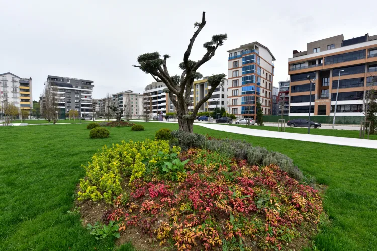Bursa’nın Yeni Nefes Kaynağı: Balkan Bölge Parkı