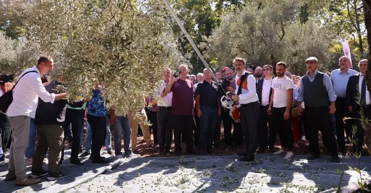 Bursa’nın zeytin mirası Gemlik ve Orhangazi’de yaşatılıyor