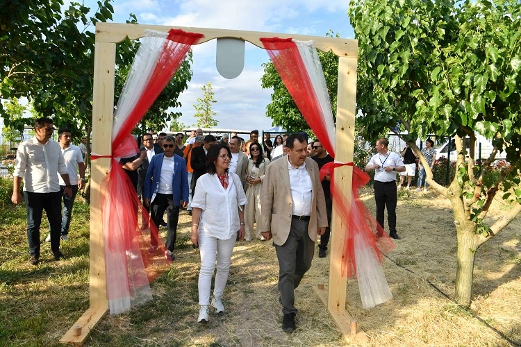 Büyükelçiler ATA Çiftliği’nde Hasat Şenliği