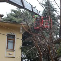Büyükşehir ekipleri, şiddetli rüzgara karşı sahada