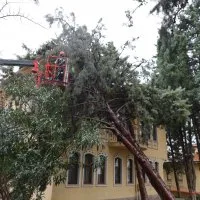 Büyükşehir ekipleri, şiddetli rüzgara karşı sahada