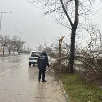 Büyükşehir ekipleri, şiddetli rüzgara karşı sahada