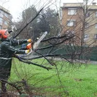 Büyükşehir ekipleri, şiddetli rüzgara karşı sahada