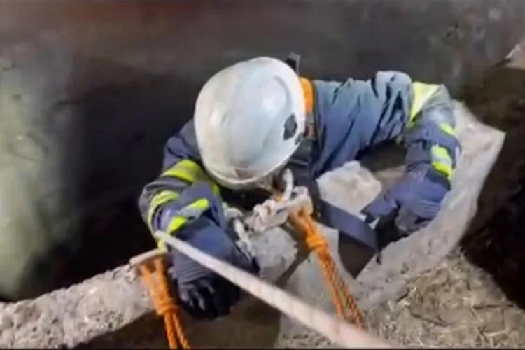 Çakal, su kuyusundan itfaiye ile kurtarıldı!