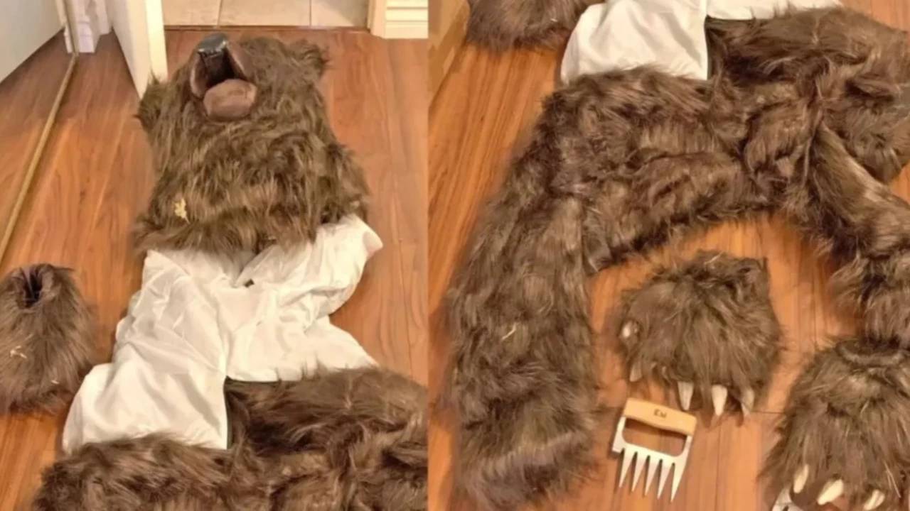 California’da Ayı Kostümlü Dolandırıcılık Skandalı!