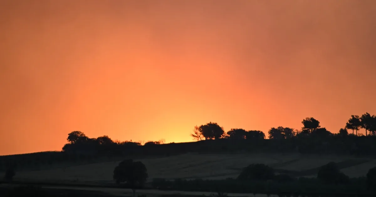 Çanakkale Dardanos Yangını Kontrol Altında!