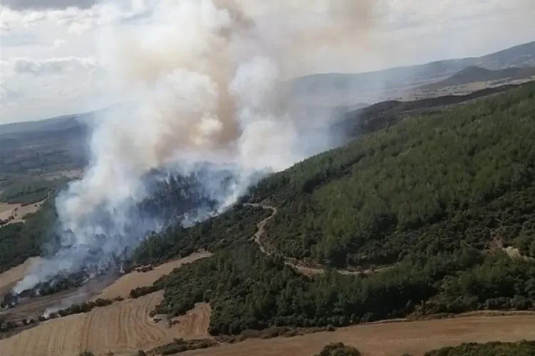 Çanakkale’de Orman Yangınları İçin 26 Kişiye İşlem
