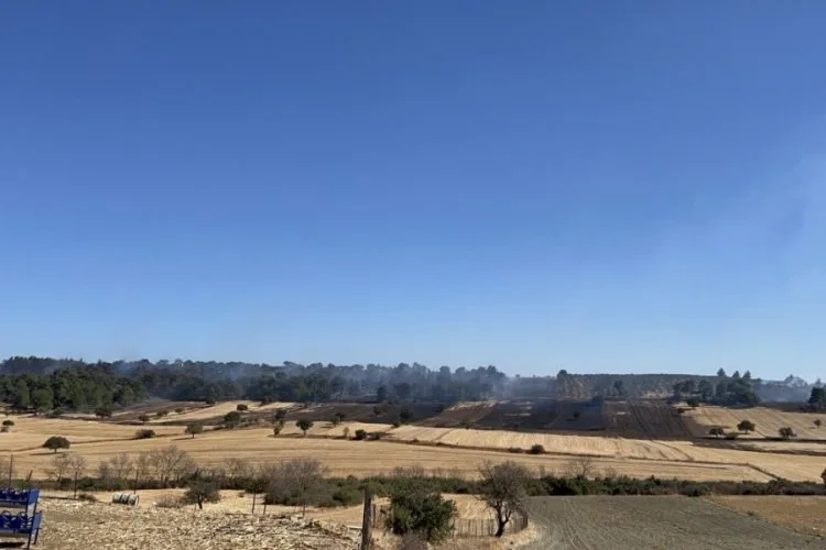 Çanakkale’deki Orman Yangını Kontrol Altına Alındı