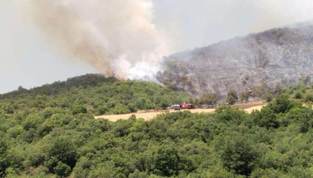 Çanakkale ve Hatay’da Orman Yangınları Başladı!
