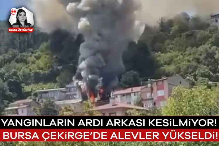 Çekirge’de Yangın: Alevler Yeniden Yükseldi!