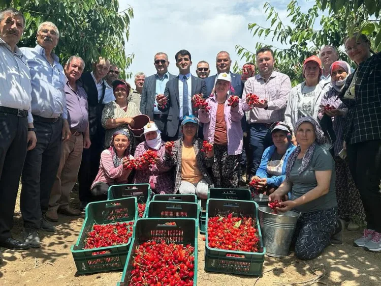 Çeribaşı Kirazı’na Coğrafi İşaret Tescili!