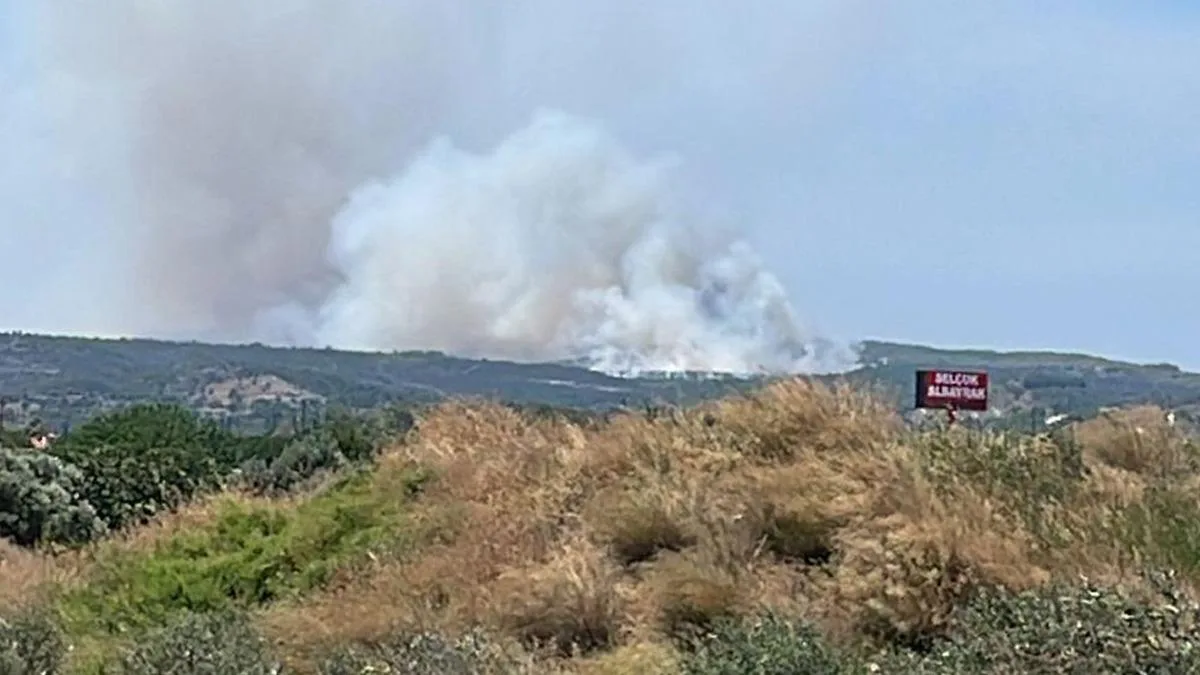 Çeşme’de Yangın Paniği: Hızla Yayılıyor!