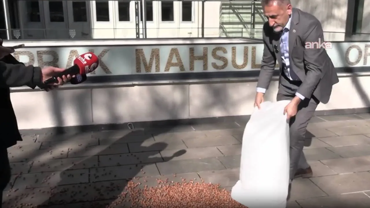 CHP’li Adıgüzel Fındık İçin TMO’ya Tepki Gösterdi