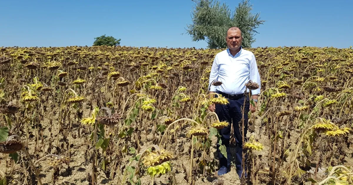 CHP’li Aygun’dan Kuraklık İçin Acil Yasa Teklifi!