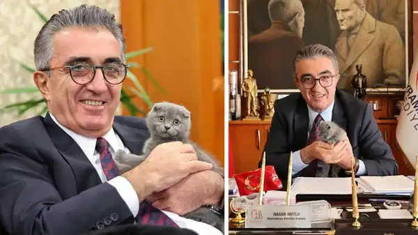 CHP’li Başkanın Kedisi Bulut, Yeni Yuvasında